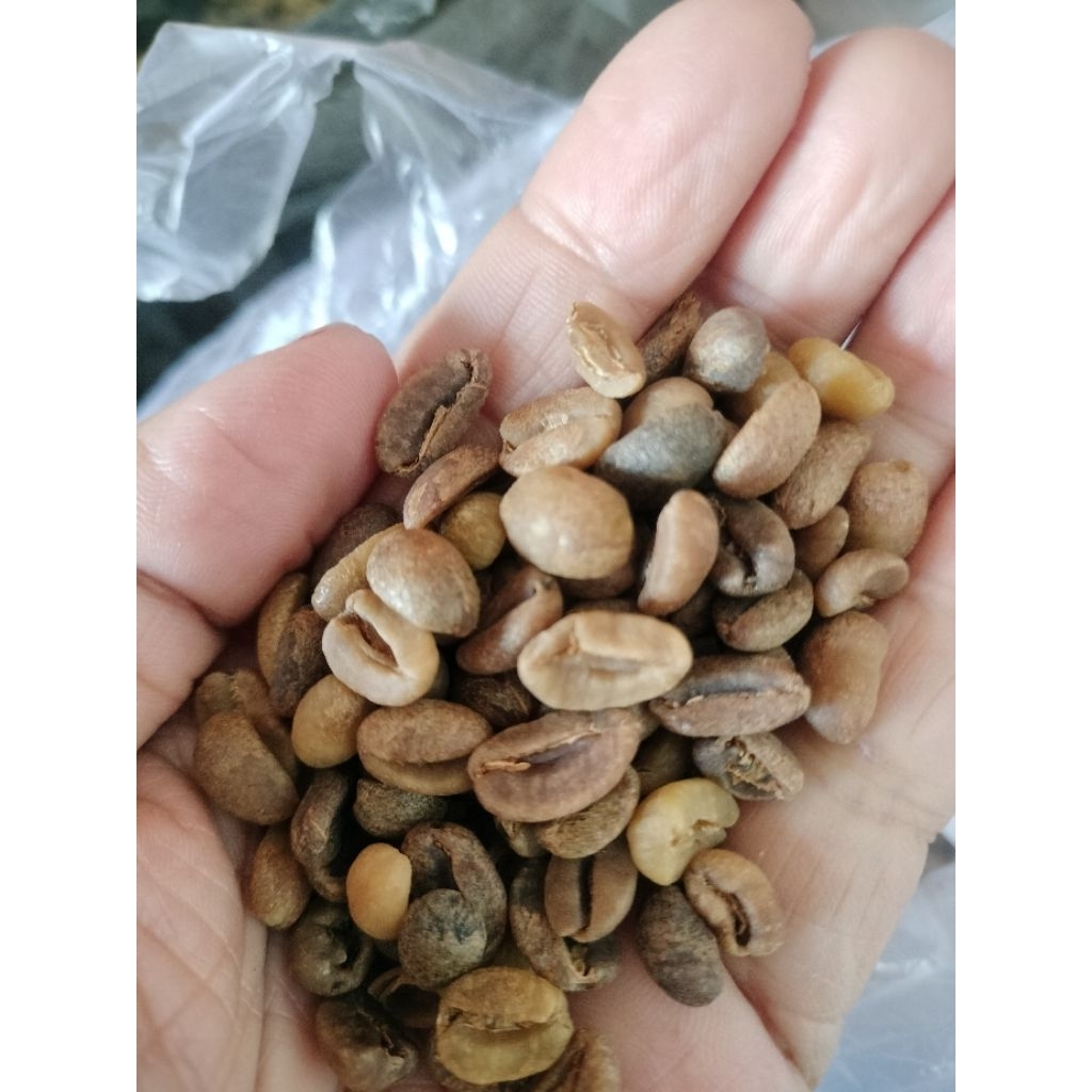 

Kopi Gayo wen strong