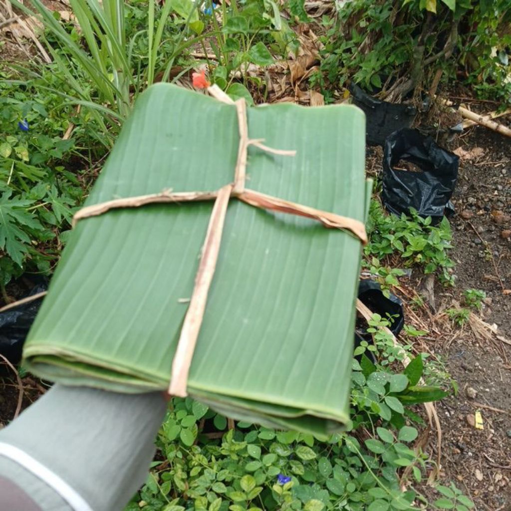 

DAUN PISANG SEGAR 1 IKAT BERAT 200 gr