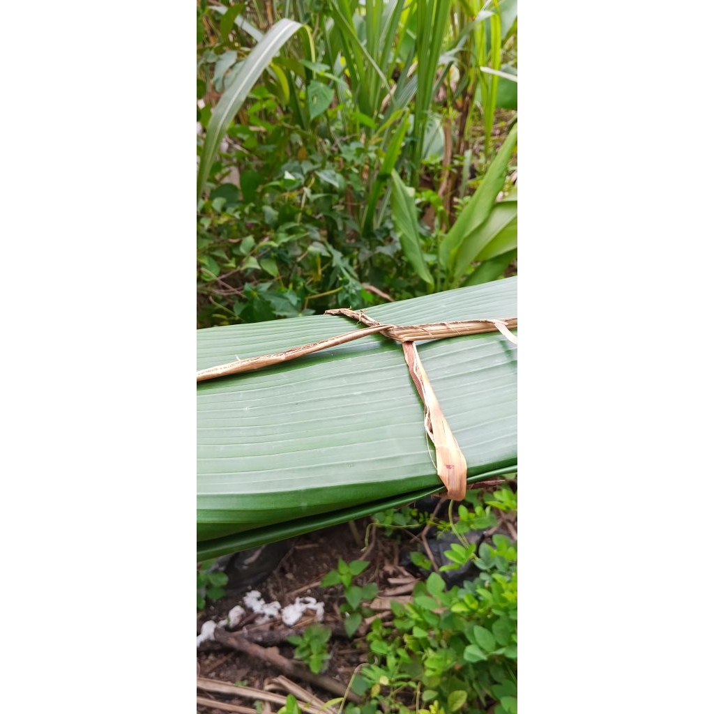 

DAUN PISANG SEGAR 1 IKAT 200gr