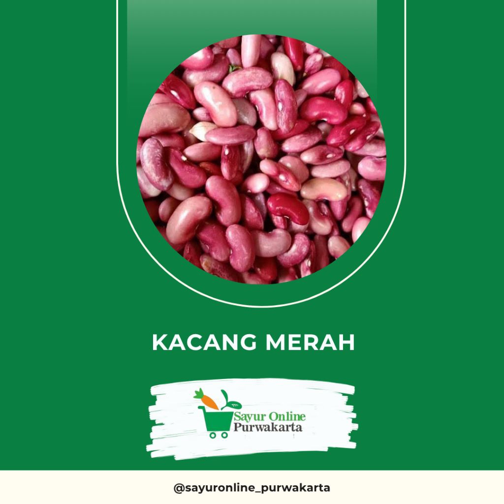 

Kacang Merah - Sayur Online Purwakarta