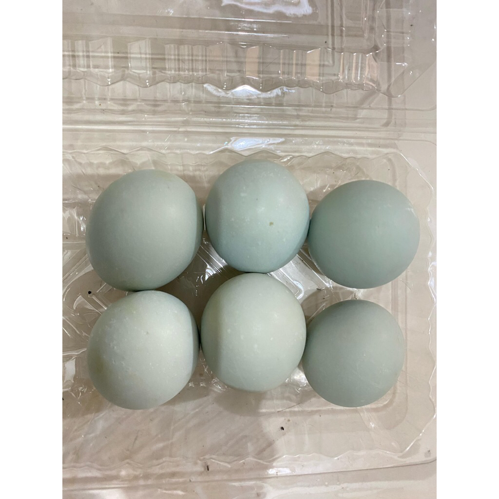 

TELUR ASIN MATANG LEZATTT