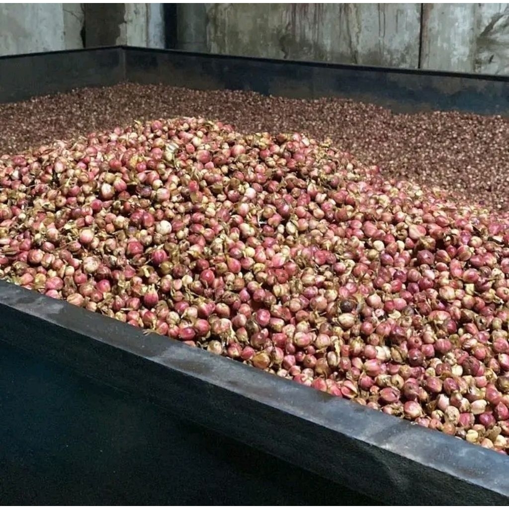 

kepulaga basah 1kg promo siap kirim