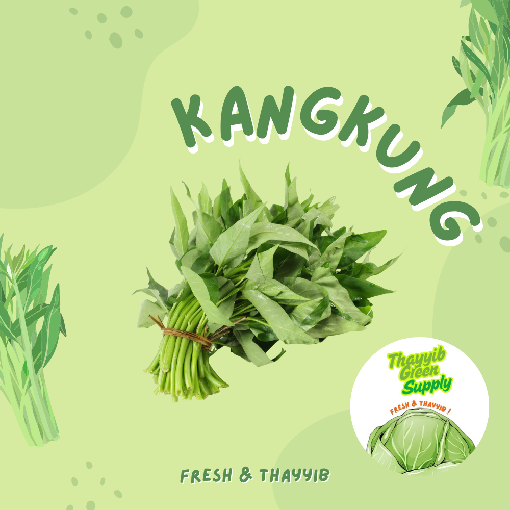 

KANGKUNG SEGAR 1 IKAT / KANGKUNG 1 IKAT FRESH - THAYYIB GREEN SUPPLY