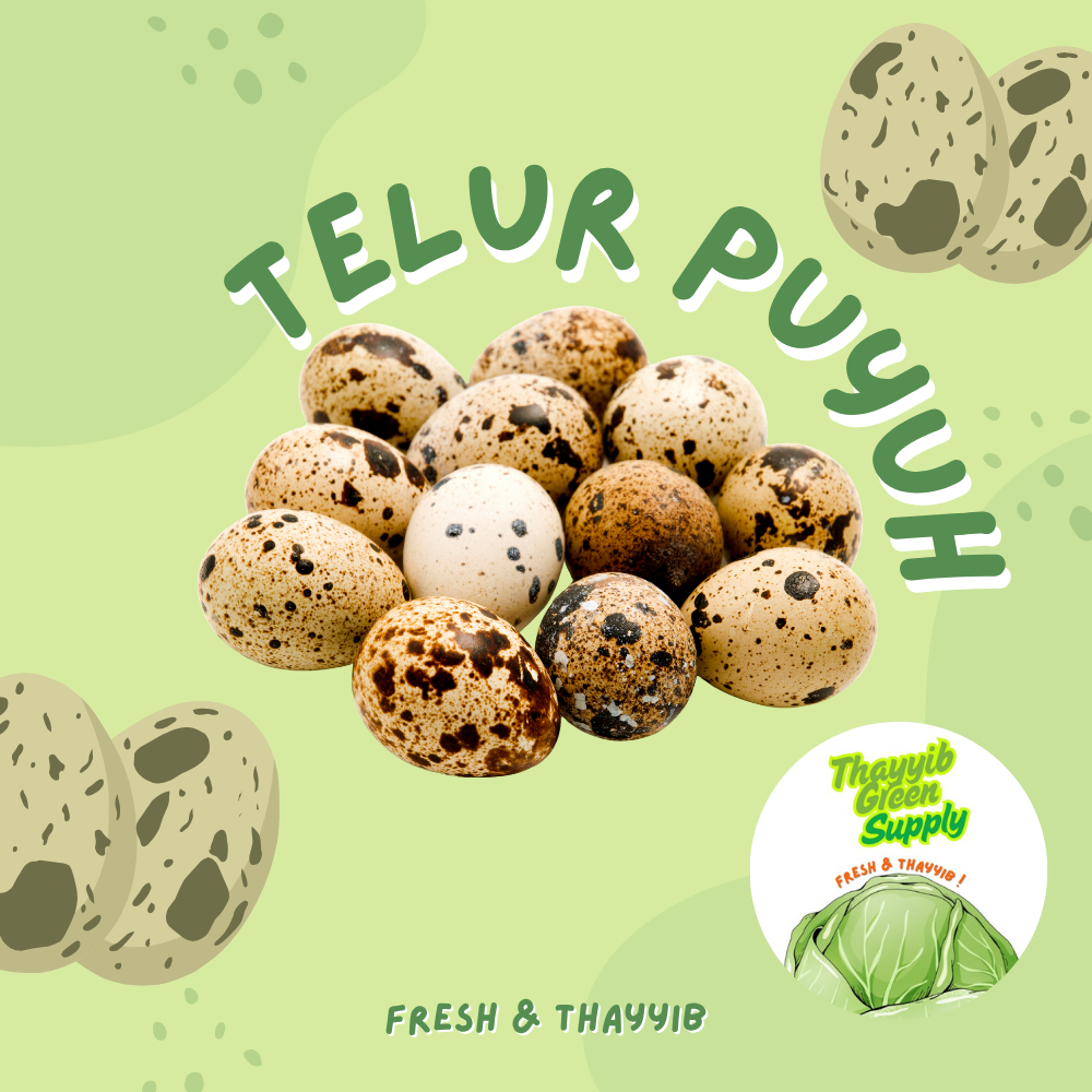 

TELUR PUYUH 1 KG / TELOR PUYUH FRESH - THAYYIB GREEN SUPPLY