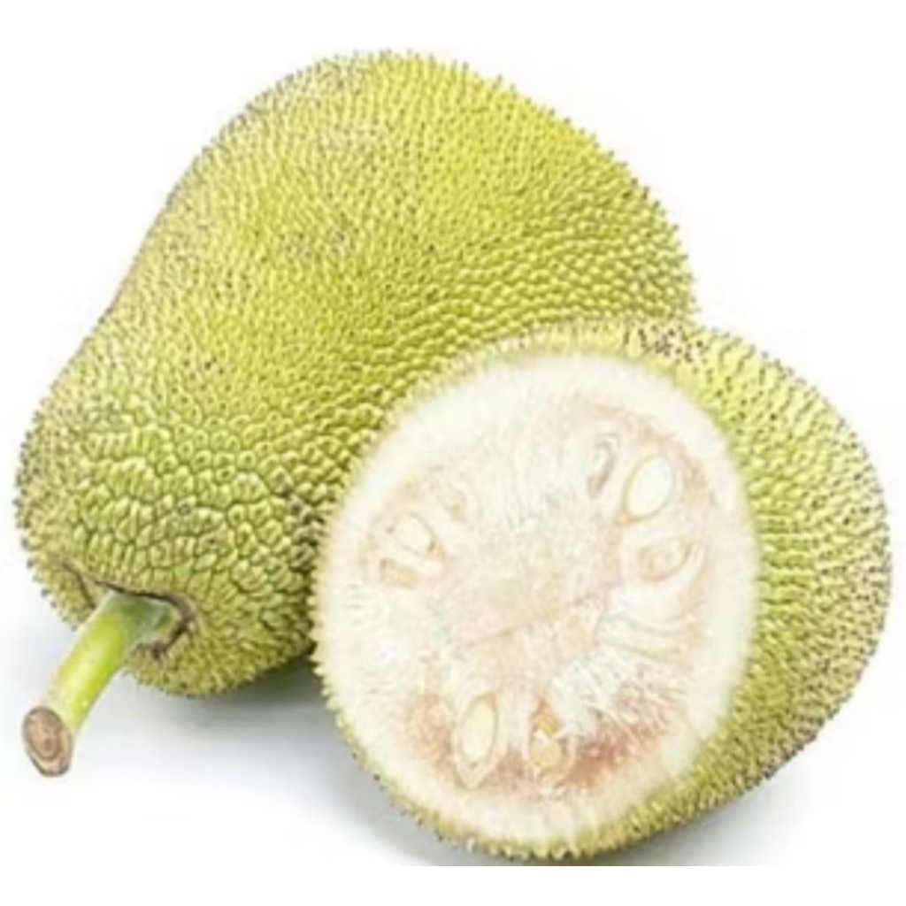 

BUAH NANGKA MUDA SAYAUR 1 PCS SUPER,. SEGAR BARU PETIK