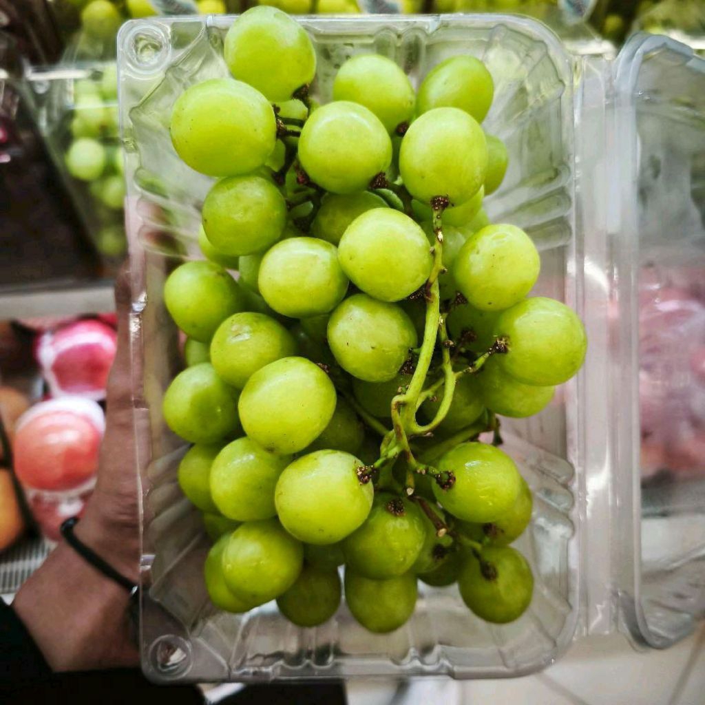 

Buah anggur Green summer crunchy super sweet 500 gram