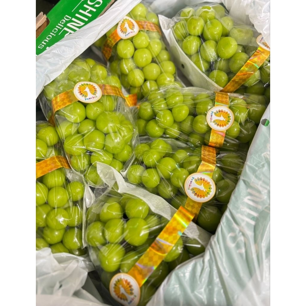 

Anggur Shine muscat Pocong 8 kg