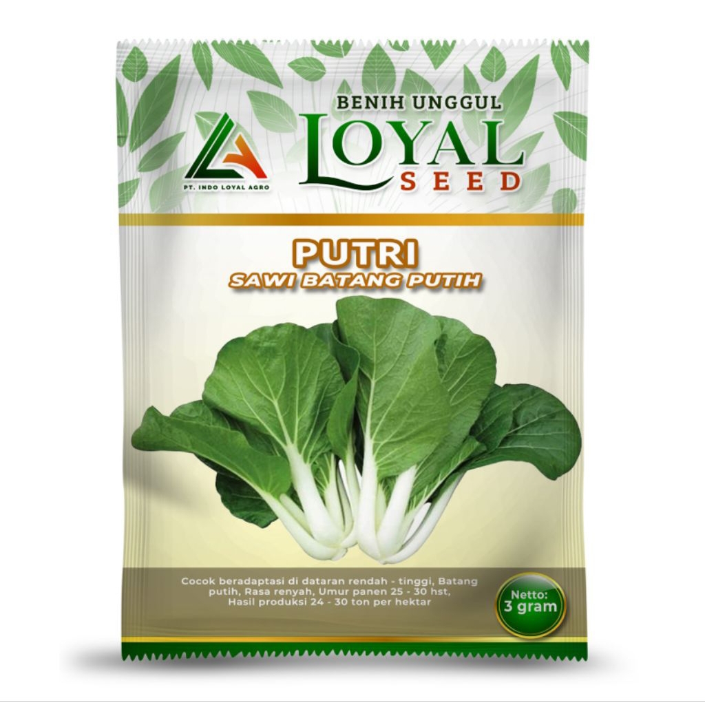 

PUTRI SAWI BATANG Putih 3g
