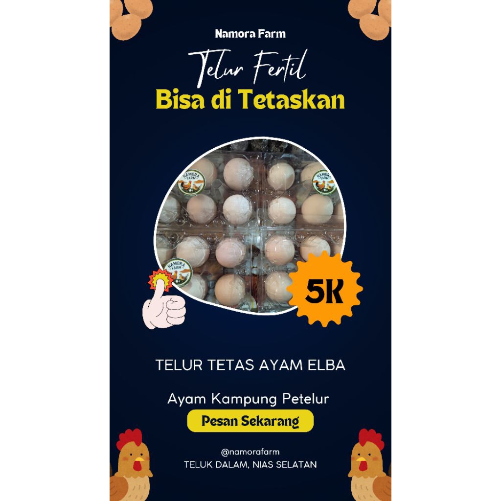 

Telur Tetas Ayam Elba Original