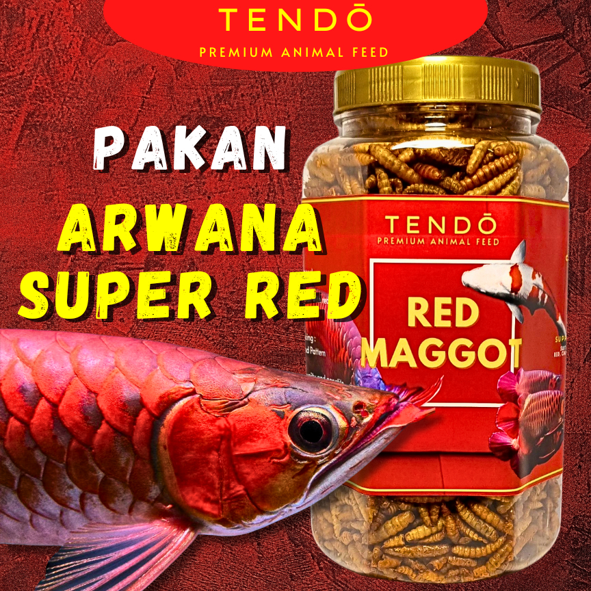 Maggot & Udang Kering Premium – Pakan Ikan Arwana Super Red Color Booster Tendo