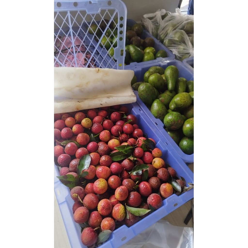 

Leci merah maniss poll 1kg