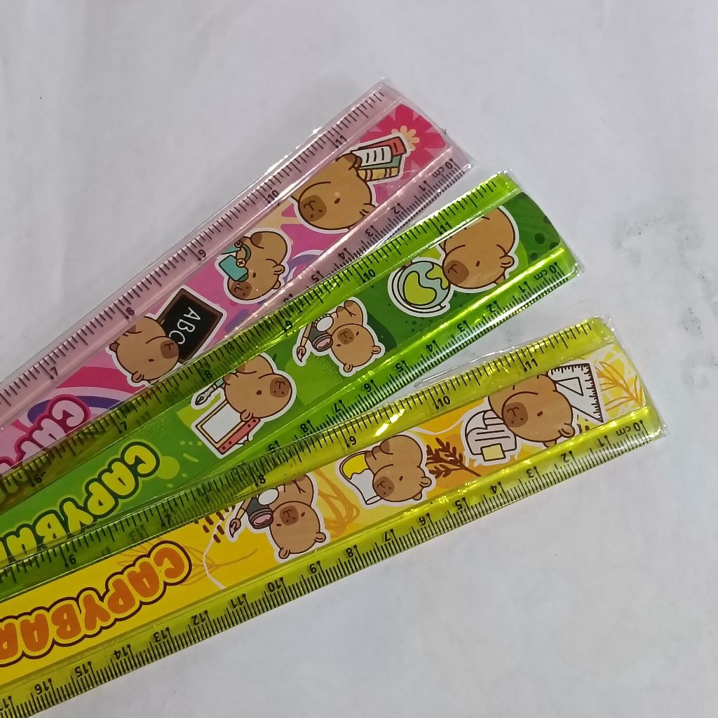 

PENGGARIS 30 CM PLASTIK FANCY CAPYBARA