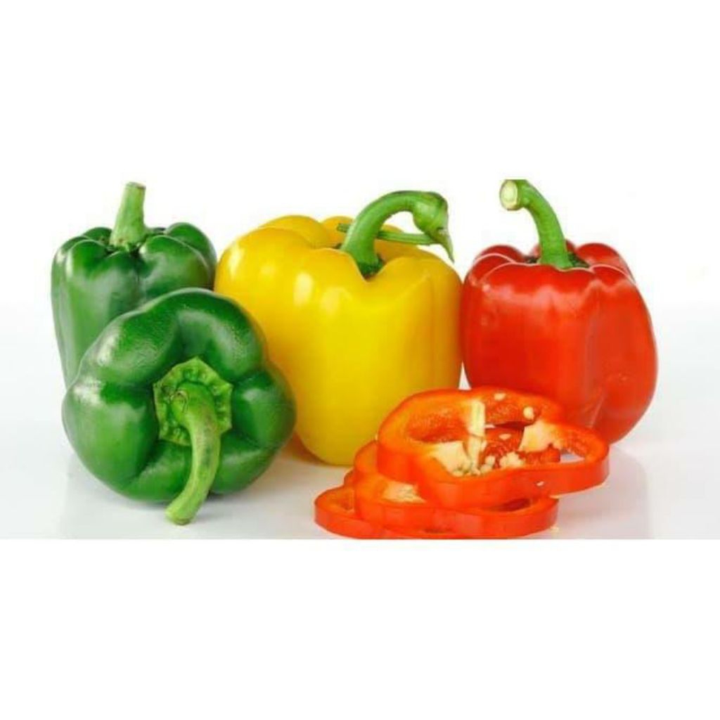 

Paprika Fresh per buah / 1 pcs (Sayuran Segar)