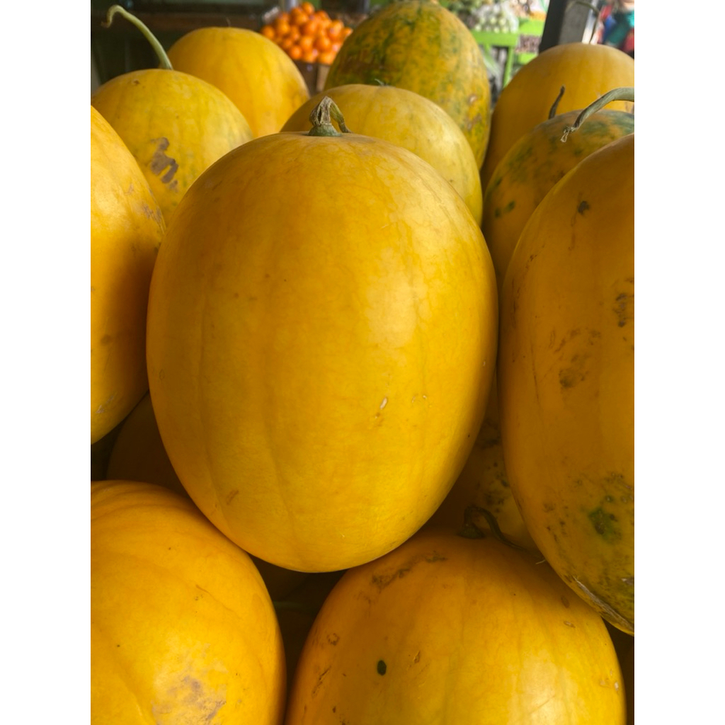 

semangka golden fresh 1 buah produk lokal non seedless