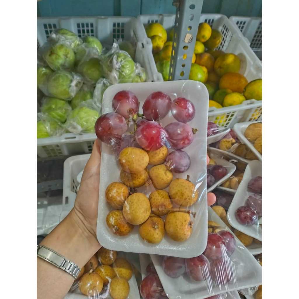 

Paket Ekonomis | JBP_Fresh