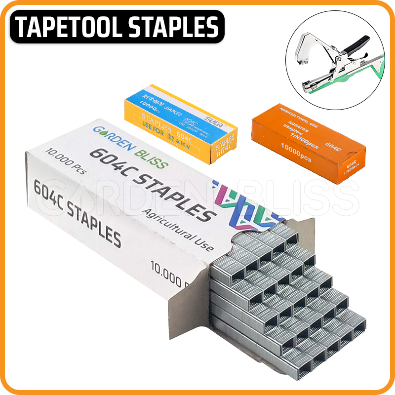 

Tapetool Refill Staples | Staples Isi Ulang Tapetool