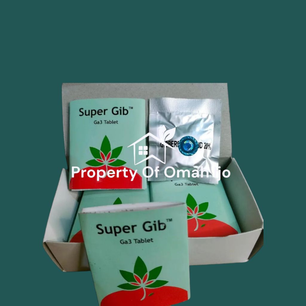 1 Kotak Zpt Super Gib isi 10 pcs Super Gib ga³ Tablet Original
