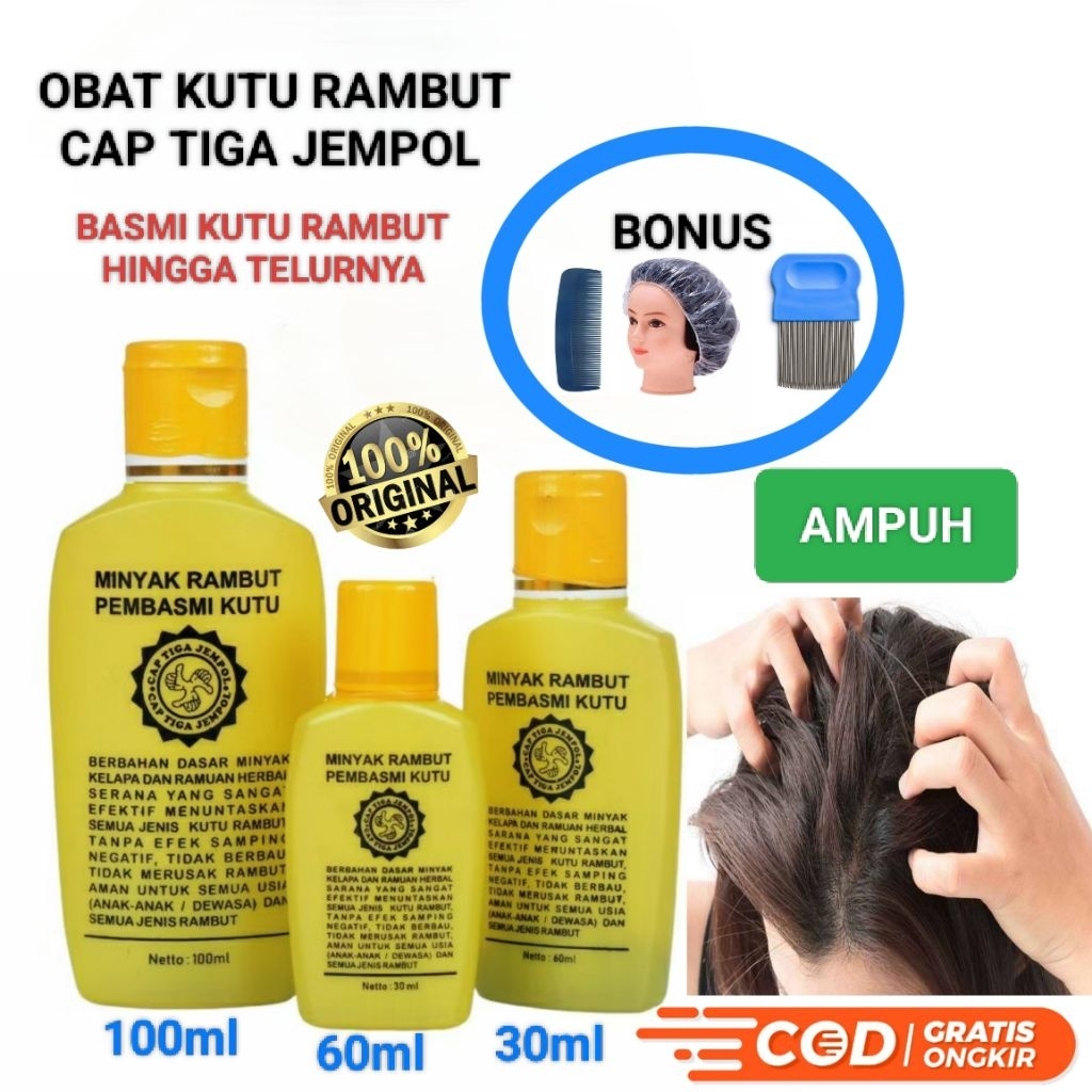 Obat Kutu Rambut Ampuh Dan Telur Kutu Anak Dan Dewasa