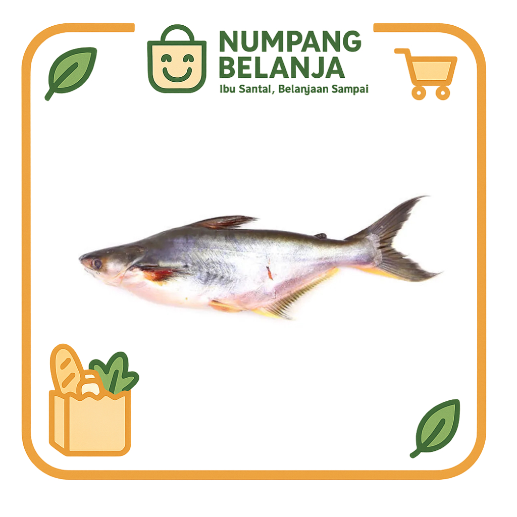 

ikan patin fresh [500g]