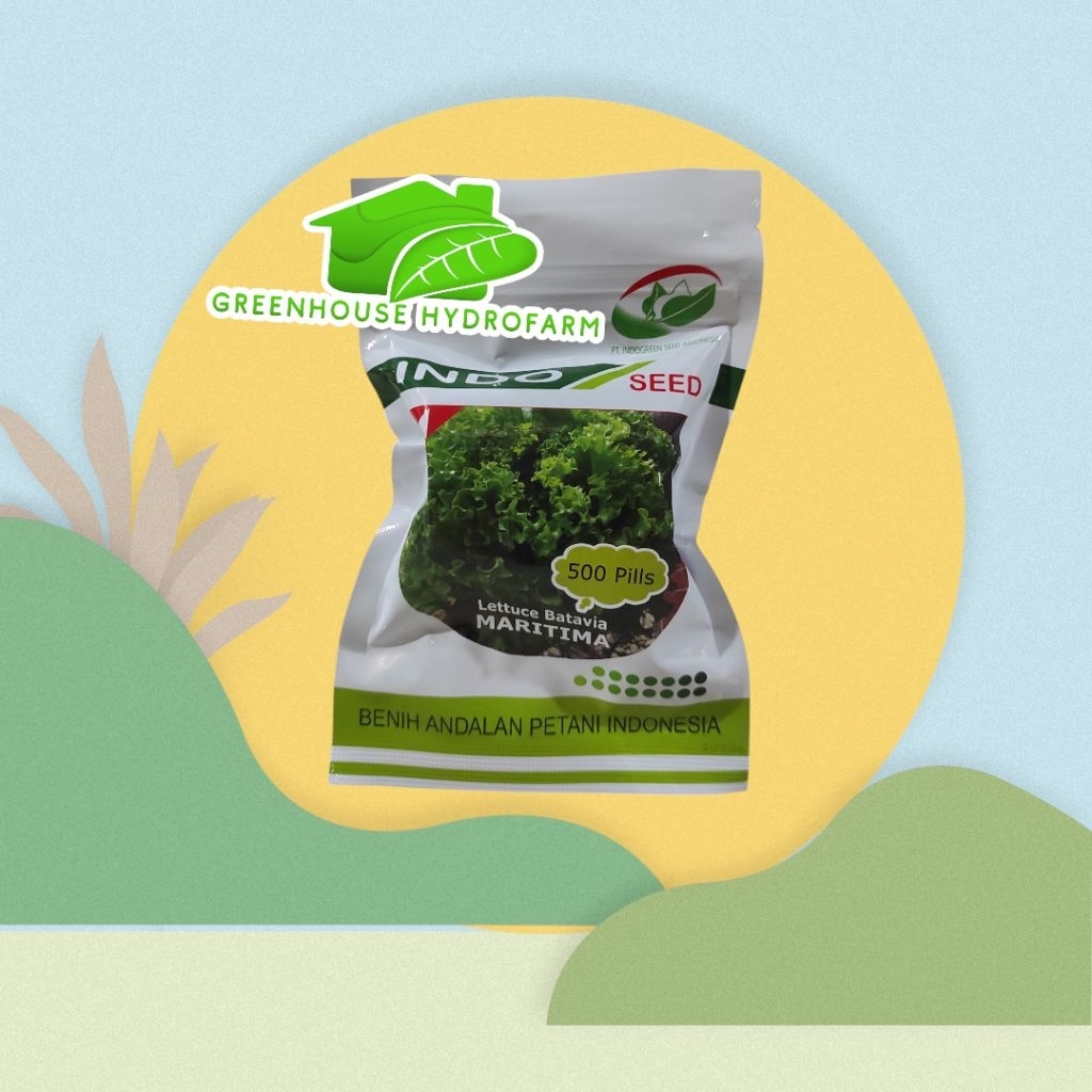 Benih Selada Maritima Kemasan Asli 1gr