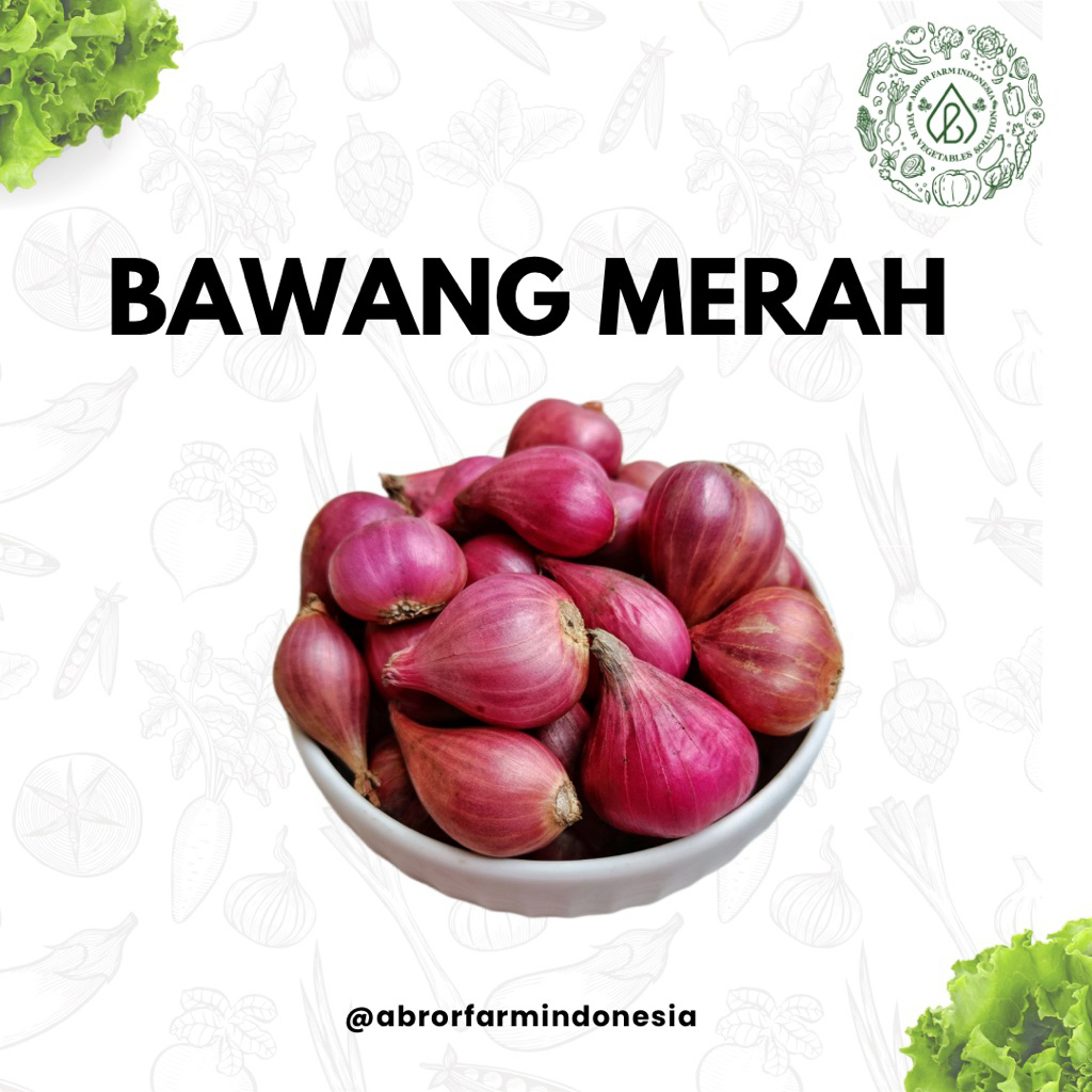 

Bawang Merah Segar Asli / Bawang Merah Kualitas Super – 250gr / 500gr / 1kg