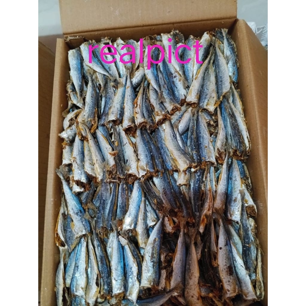 

PROMO IKAN ASIN LAYANG REBUS PK SUPER TERMURAH 250 gr
