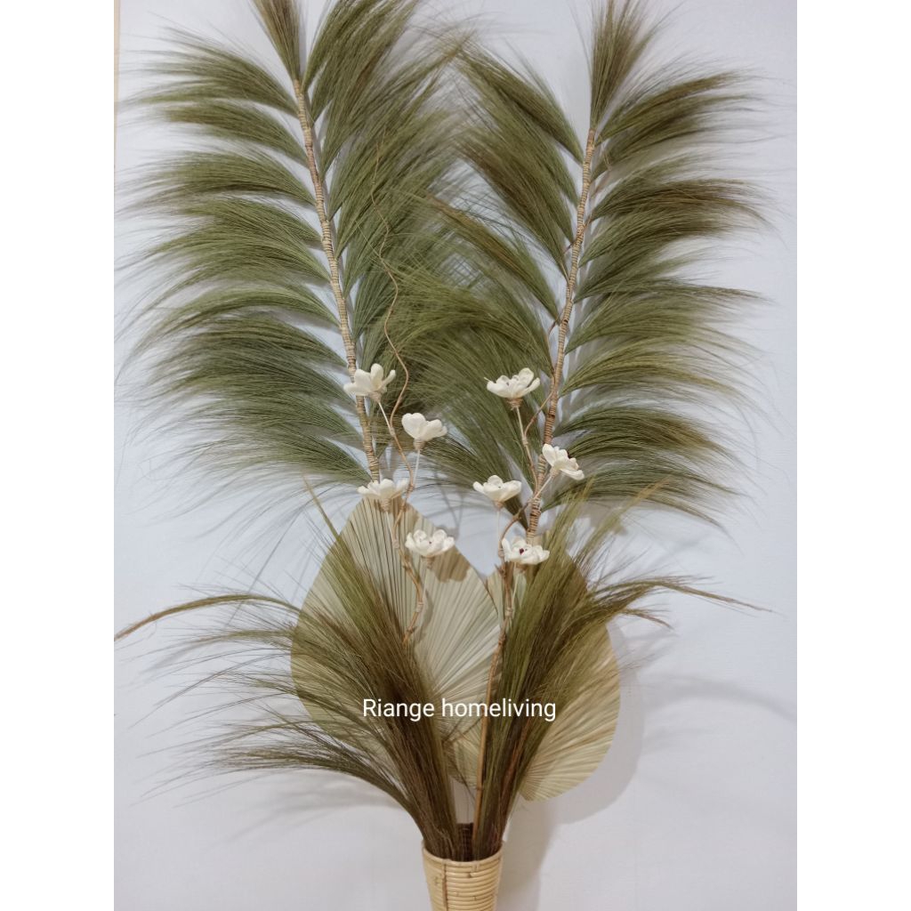 Dekorasi pampas rayung Bunga kering/Paket bunga kering