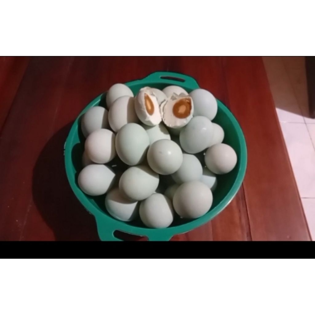 

TELUR ASIN MASIR PREMIUM