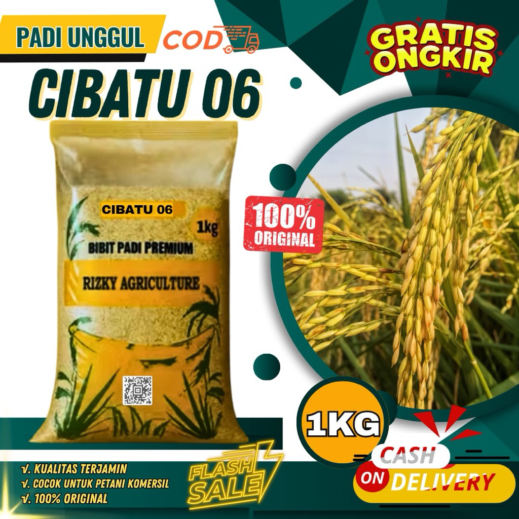 BENIH PADI BIBIT PADI CIBATU 06 BIBIT UNGGUL KEMASAN 1 KG