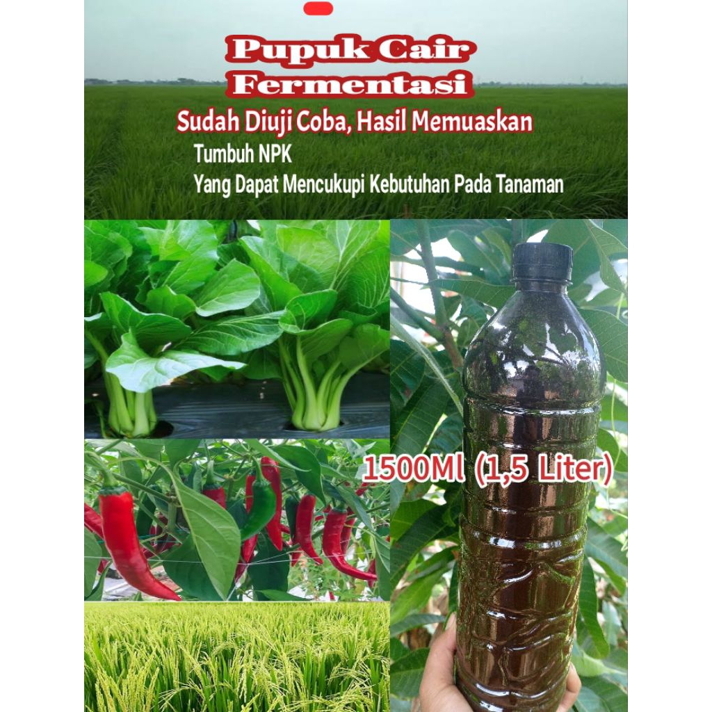 Pupuk Cair Npk Fermentasi Bebas Amonia