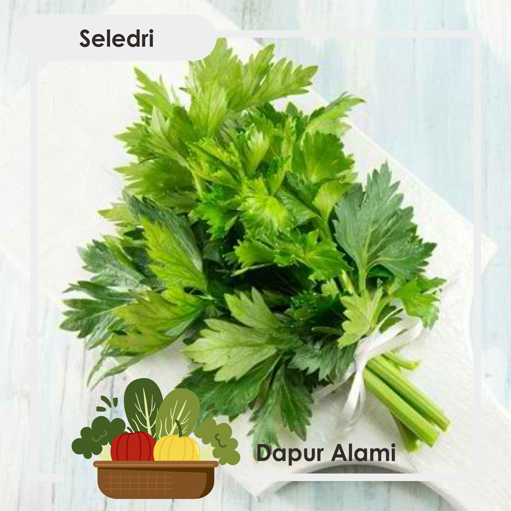 

Seledri Segar - Sayur Jogja