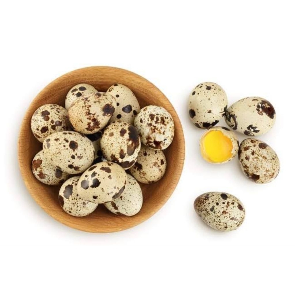 

Telur Puyuh Konsumsi 22 Butir