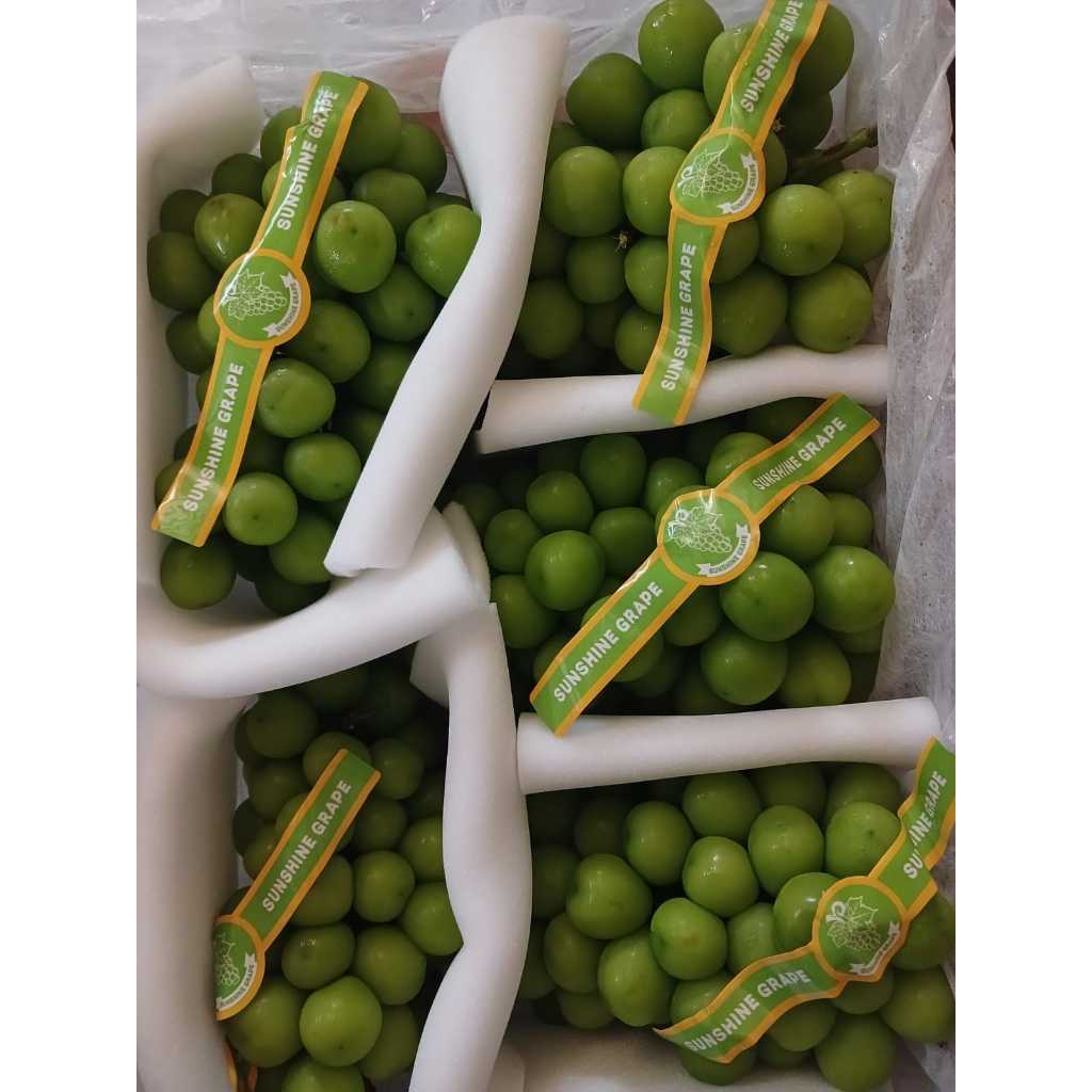 

Anggur Muscat shine muscat hijau curah manis tanpa biji 500 gram