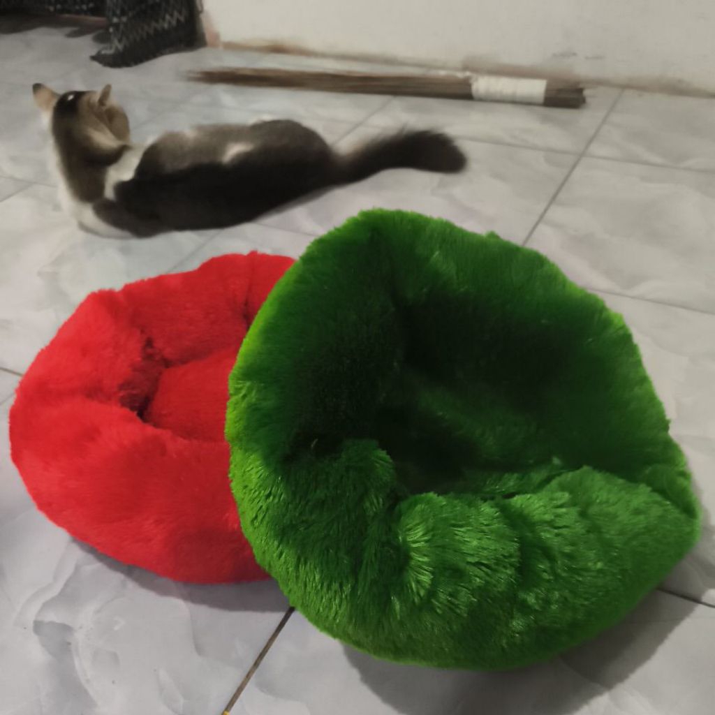 kasur tidur kucing
