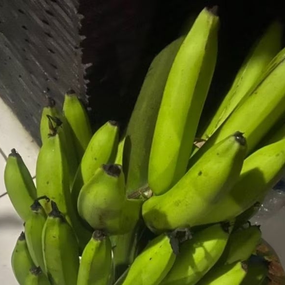 

Buah Pisang Mentah IND PB BS Pisang Bangkaulu
