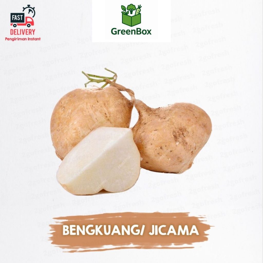 

Bengkuang Segar Buah Jicama - Rempah Sayur Sayuran & Buah Buahan