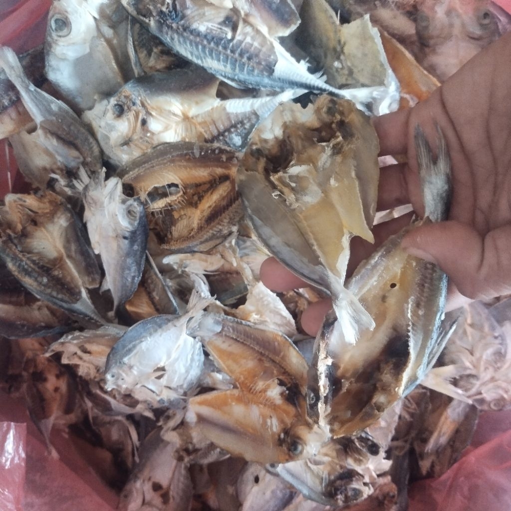 

Ikan asin Belahan Campuran 1 kg