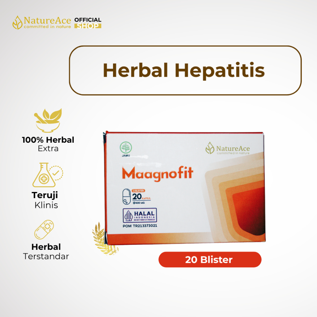 Maagnofit Obat Hepatitis Liver Sirosis 20 Kapsul Natureace