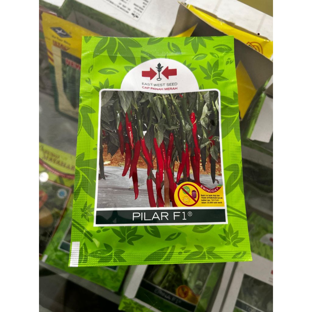 

BENIH CABE BESAR PILAR 1.500BUTIR PANAH MERAH