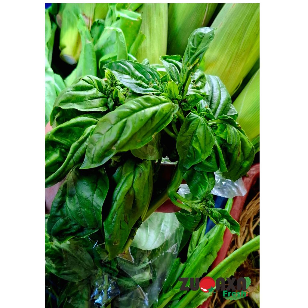 

Daun Basil 100 gr