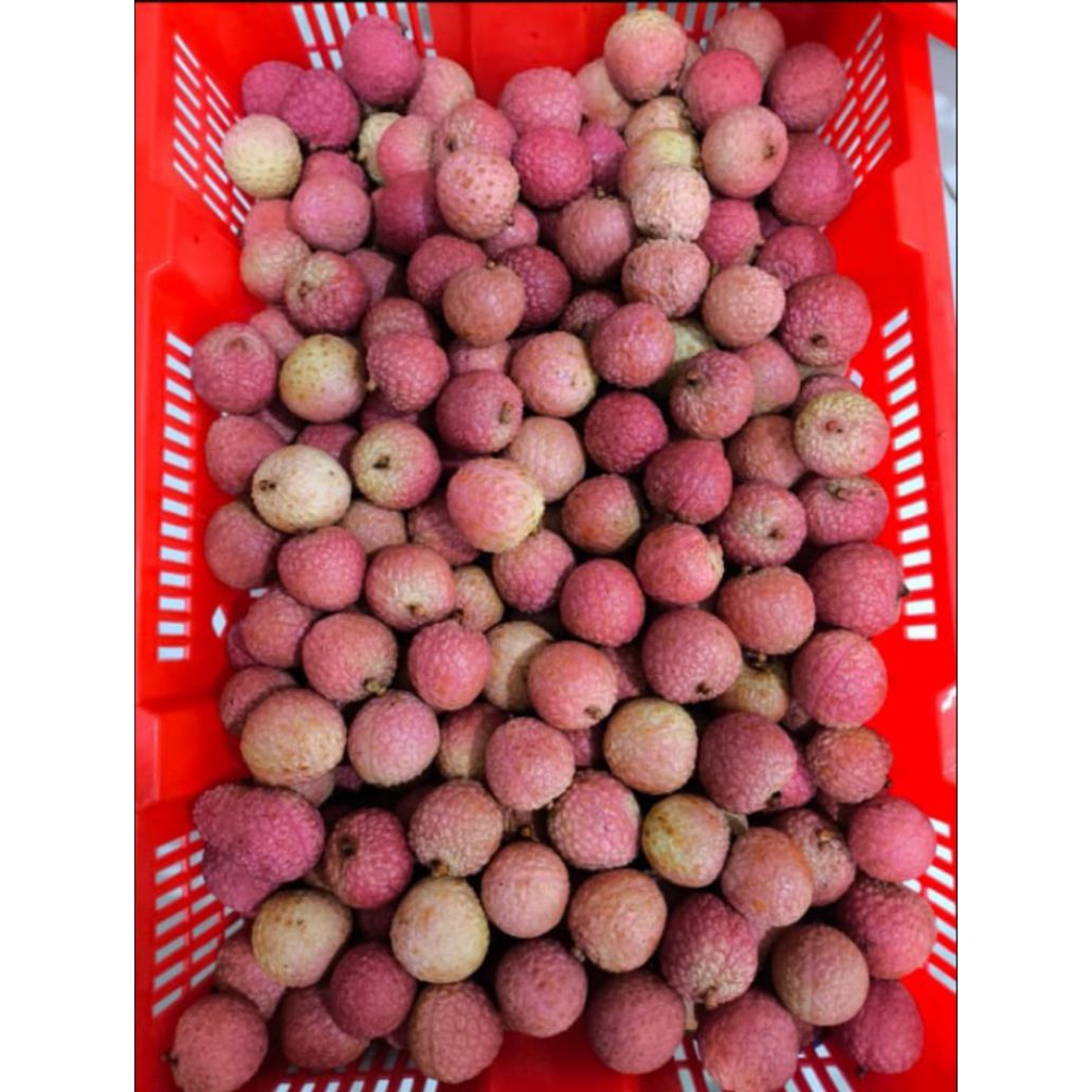 

leci buah leci khusus Semarang