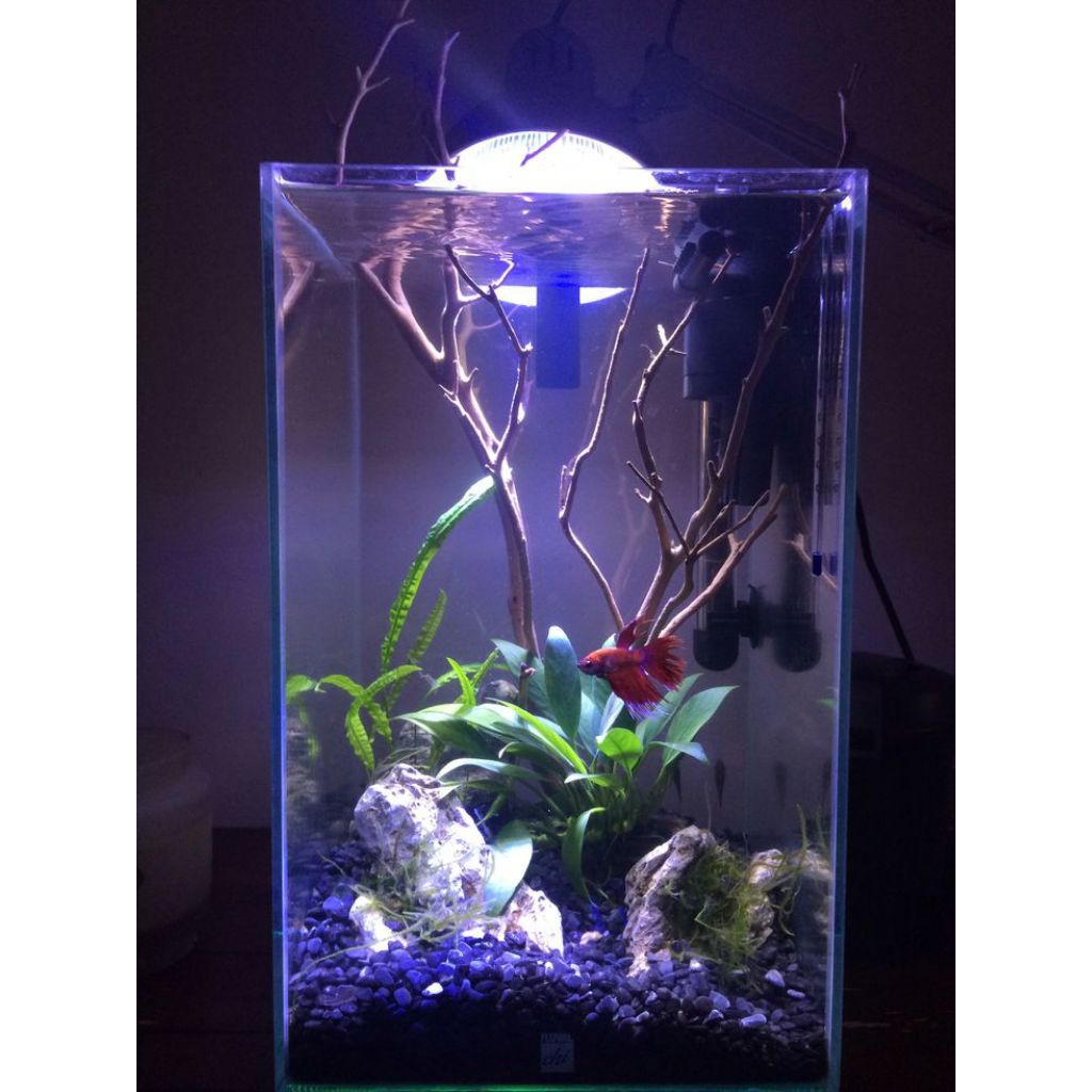 PROMO MURAH Aquascape Mini Full Set.