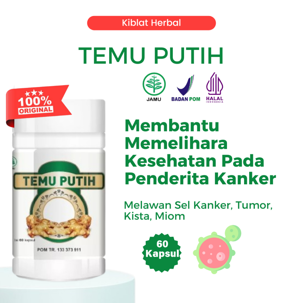 Kapsul Ekstrak Temu Putih Herbal Obat Kanker / Temu Putih