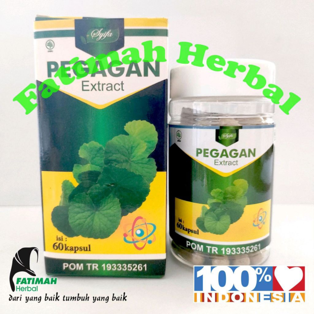 Ekstrak Pegagan 60 kapsul CV. Syifa Herbal Alami