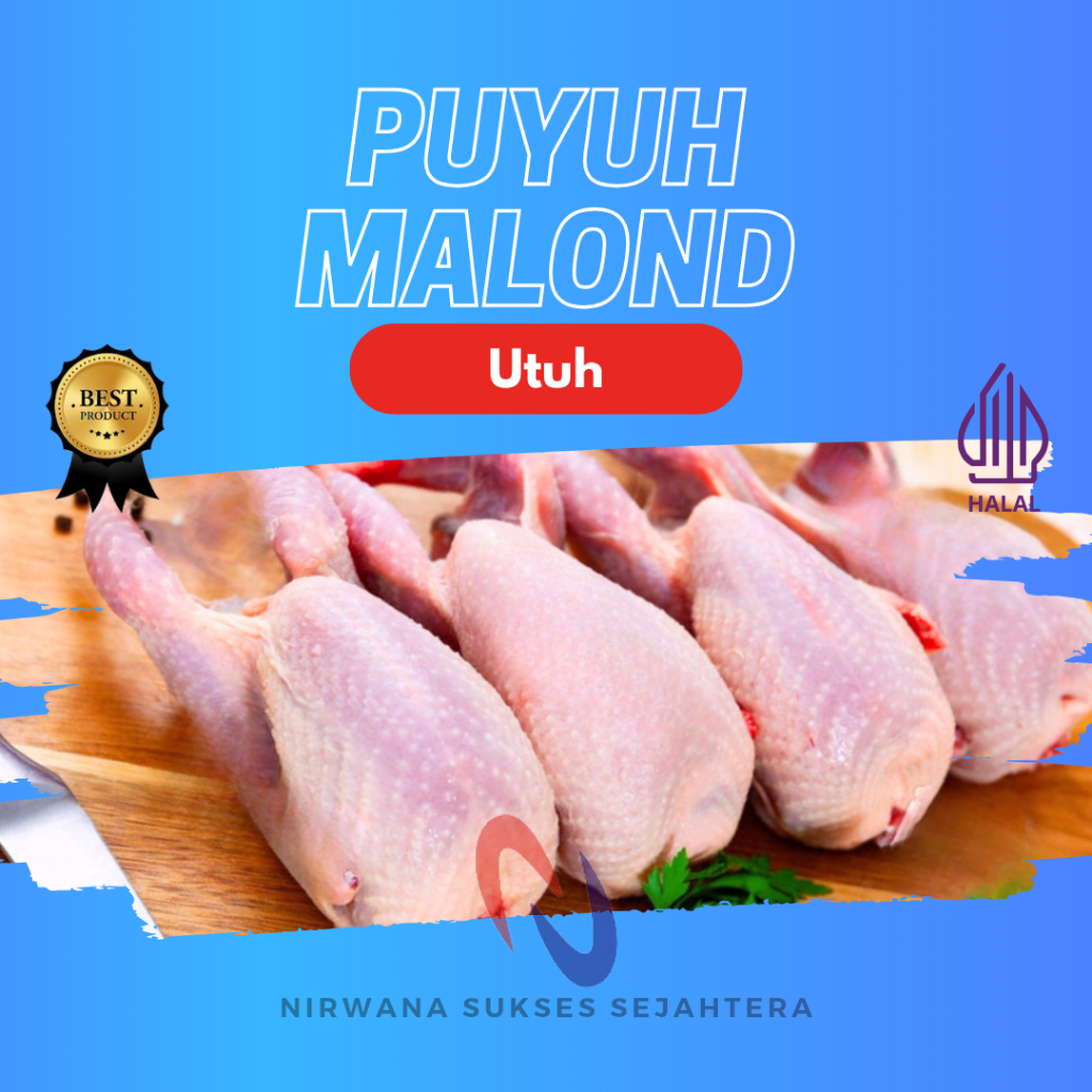 

BURUNG PUYUH MALOND, PEDAGING UTUH / WHOLE MALOND QUAIL
