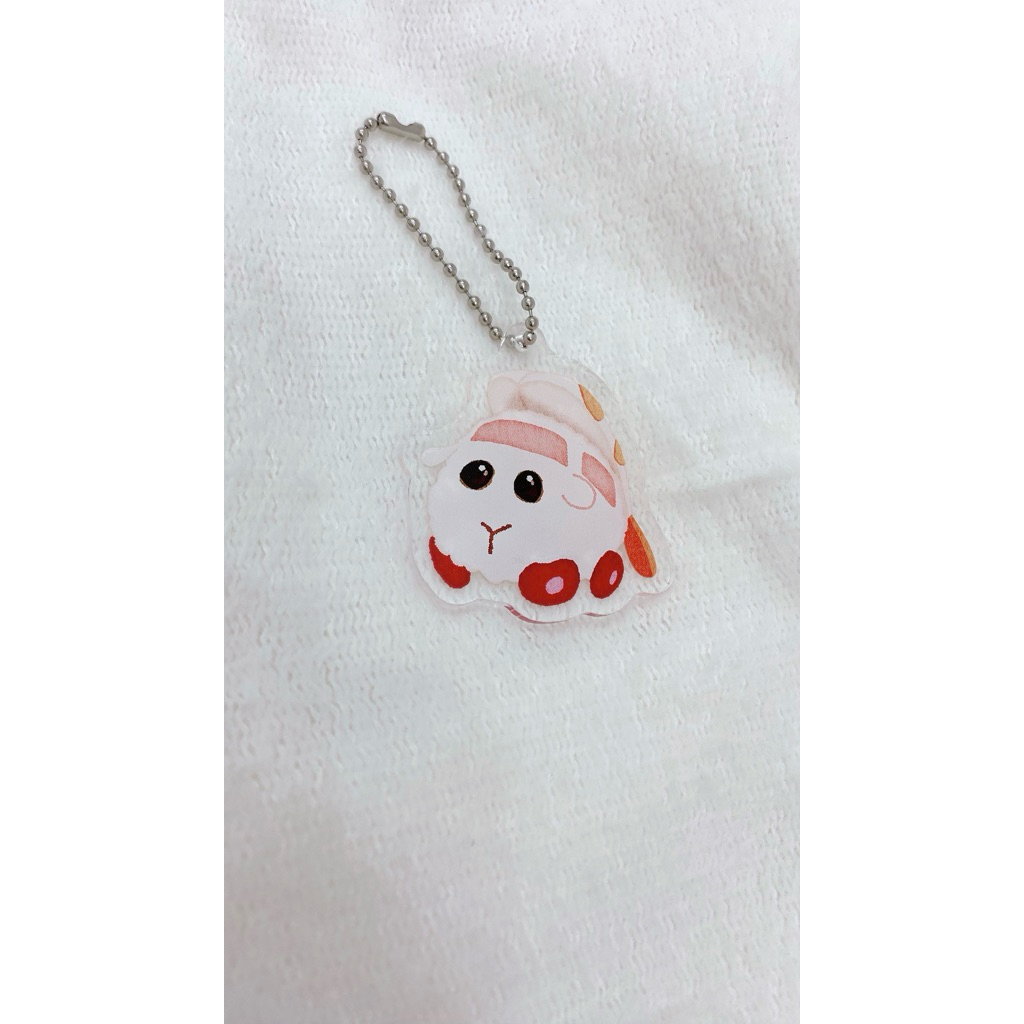 ganci akrilik ebi nigiri molcar