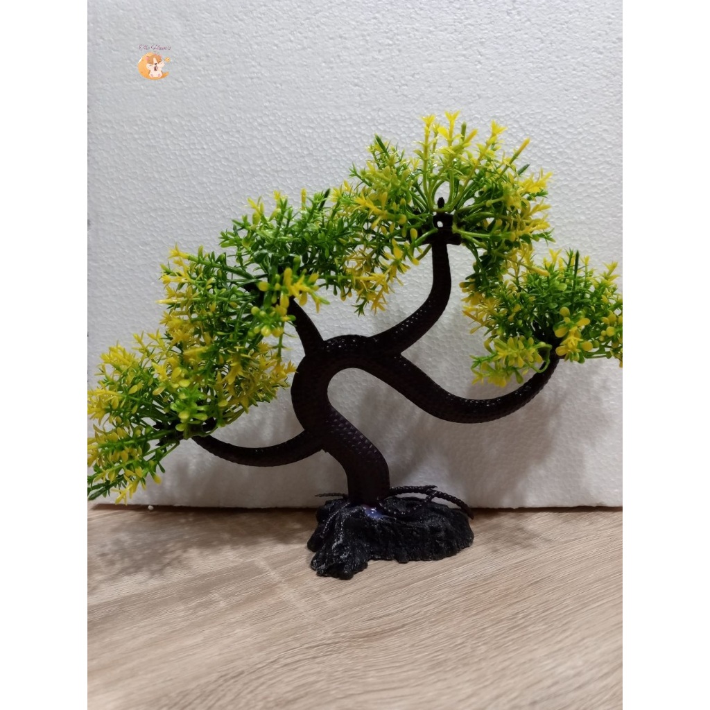 (The Ham's) Hiasan aquarium tanaman bonsai, bonsai aquarium, dekorasi aquarium tanaman bonsai, pohon