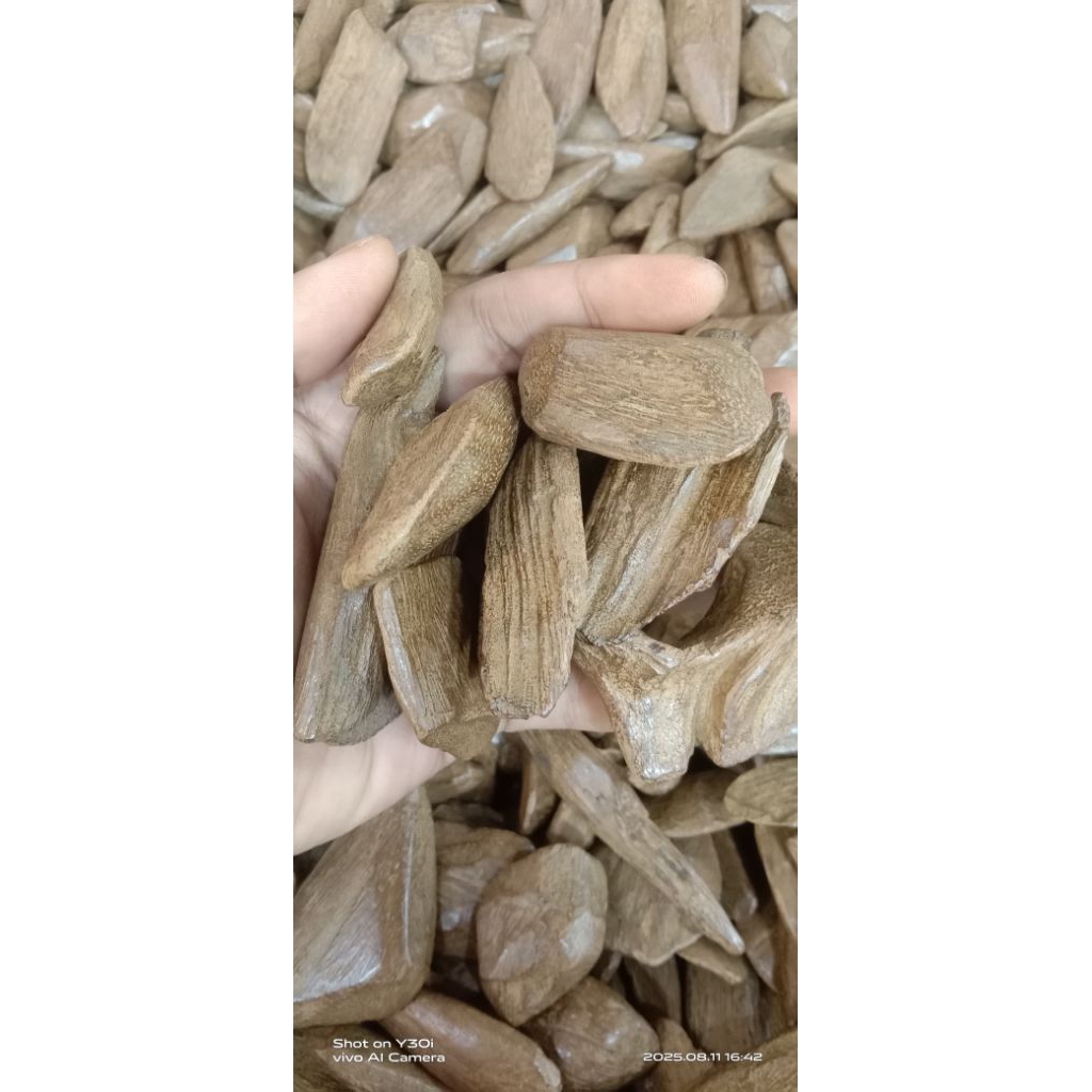 Gaharu Merauke MT MUHASSAN / Gaharu Merauke / Gaharu MUHASSAN MERAUKE( ISI 100 Gr )