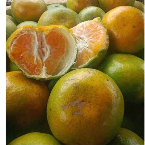 

buah jeruk manis dan segar(500gr dan 1000gr)di jamin fress dengan kualitas premium