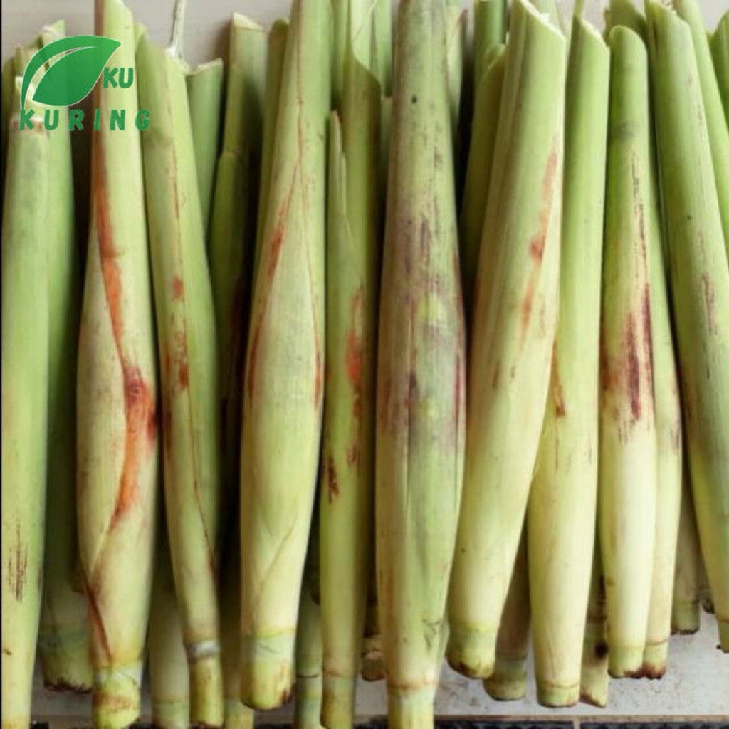 

Sayur Terubus | Trubus | Terubuk | satuan 20-30cm